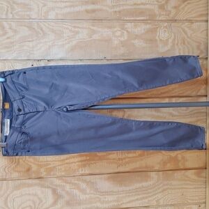 Anthropologie Pilcro Gray Zip Ankle Five Pocket Jeans Size 27